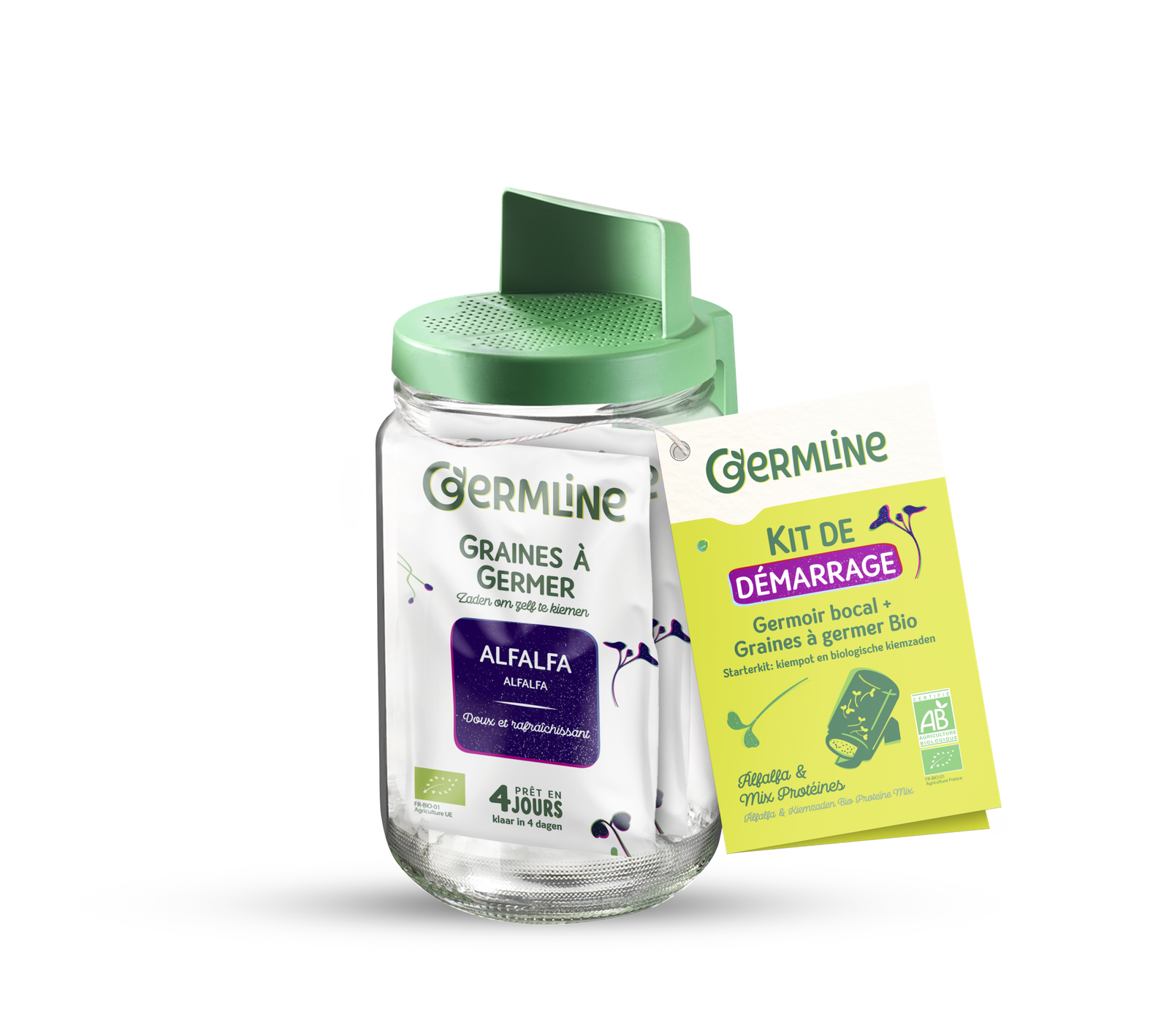 Germoir en verre et graines Germline